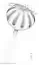 Fig. 05 - Balloon catheter with internal distal end