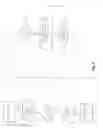 Fig. 13 - Apparatus and methods for controlling tissue oxygenation for wound healing and promoting tissue viability