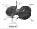 Fig. 01 - Magnetic stimulation probe