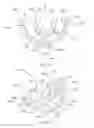 Fig. 74 - INTRA-ORAL LIGHT-THERAPY APPARATUSES AND METHODS FOR THEIR USE