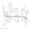Fig. 02 - ADJUSTABLE LEG EXERCISE APPARATUS