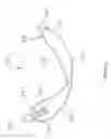 Fig. 03 - ADJUSTABLE LEG EXERCISE APPARATUS