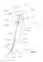 Fig. 07 - ADJUSTABLE LEG EXERCISE APPARATUS