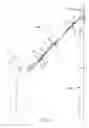 Fig. 09 - BELT PULLING EXERCISE APPARATUS