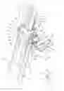 Fig. 01 - Position adjusting device for exercising apparatus