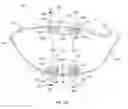 Fig. 27 - Golf club head