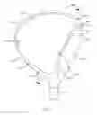 Fig. 02 - Golf club head