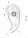 Fig. 28 - Golf club having an elastomer element for ball speed control