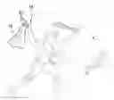 Fig. 01 - Throwing Training Assembly