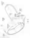 Fig. 04 - Hand-held controller using sensors for hand disambiguation