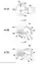 Fig. 12 - Controller with haptic feedback