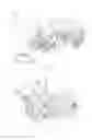 Fig. 05 - Toy capable of implementing second coin clamping