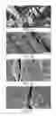 Fig. 03 - Filtering article containing titania nanotubes