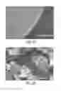 Fig. 04 - Filtering article containing titania nanotubes