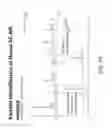 Fig. 71 - Biochars, biochar extracts and biochar extracts having soluble signaling compounds and method for capturing material extracted from biochar