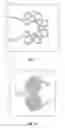 Fig. 11 - Microfluidic diagnostic assembly