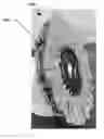 Fig. 01 - Abrasive buffing articles