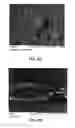 Fig. 09 - Abrasive buffing articles