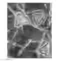 Fig. 01 - NONWOVEN ABRASIVE ARTICLE INCLUDING ABRASIVE PARTICLES