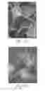 Fig. 06 - NONWOVEN ABRASIVE ARTICLE INCLUDING ABRASIVE PARTICLES