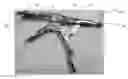 Fig. 01 - PUSH FITTING TUBING REMOVER