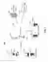 Fig. 02 - SYSTEM AND METHOD FOR DETECTING PHYSICAL PROXIMITY BETWEEN DEVICES