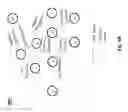Fig. 08 - SYSTEM AND METHOD FOR DETECTING PHYSICAL PROXIMITY BETWEEN DEVICES