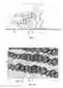 Fig. 02 - Process and system for making an erosion control mat