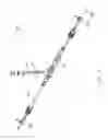 Fig. 02 - Steering assembly