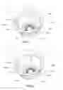Fig. 02 - Capsule For The Preparation Of Infusion And Soluble Beverages