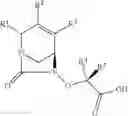 Fig. 09 - Beta-lactamase inhibitor compounds