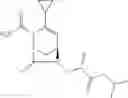 Fig. 265 - Beta-lactamase inhibitor compounds