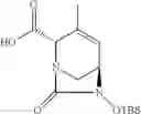 Fig. 293 - Beta-lactamase inhibitor compounds
