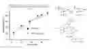 Fig. 01 - DNA polymerase beta inhibitors