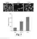 Fig. 13 - DNA polymerase beta inhibitors