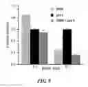 Fig. 17 - DNA polymerase beta inhibitors