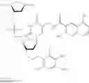 Fig. 40 - DNA polymerase beta inhibitors