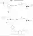 Fig. 43 - DNA polymerase beta inhibitors
