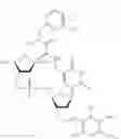 Fig. 53 - DNA polymerase beta inhibitors