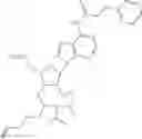 Fig. 136 - Polynucleotide constructs