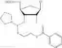Fig. 167 - Polynucleotide constructs