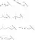 Fig. 45 - Polynucleotide constructs