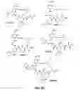 Fig. 06 - Cyclic peptides and uses thereof