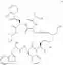 Fig. 43 - Cyclic peptides and uses thereof