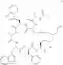 Fig. 44 - Cyclic peptides and uses thereof