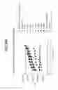 Fig. 35 - Compositions relating to a mutant clostridium difficile toxin and methods thereof