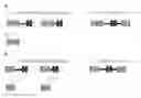 Fig. 01 - Complement inhibitors and uses thereof