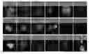 Fig. 01 - Bi-functional anti-tau polypeptides and use thereof