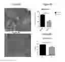 Fig. 07 - Adeno-associated virus vector delivery of B-sarcoglycan and microrna-29 and the treatment of muscular dystrophy