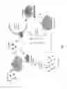 Fig. 02 - ONCOLYTIC VIRUSES COMPRISING esRAGE AND METHODS OF TREATING CANCER